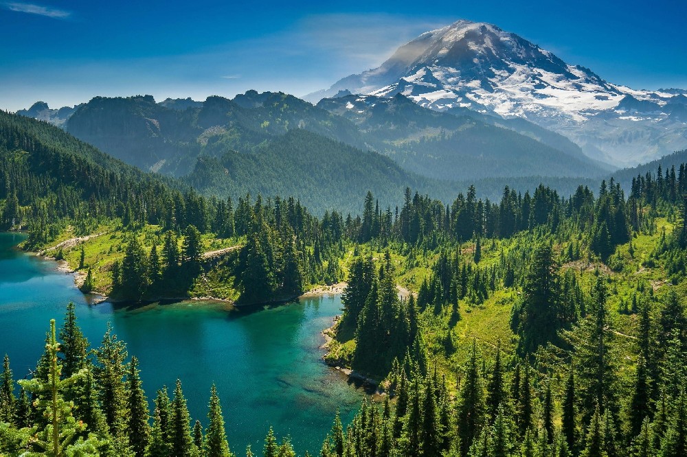 智慧種養(yǎng)循環(huán)一體化業(yè)務(wù)""