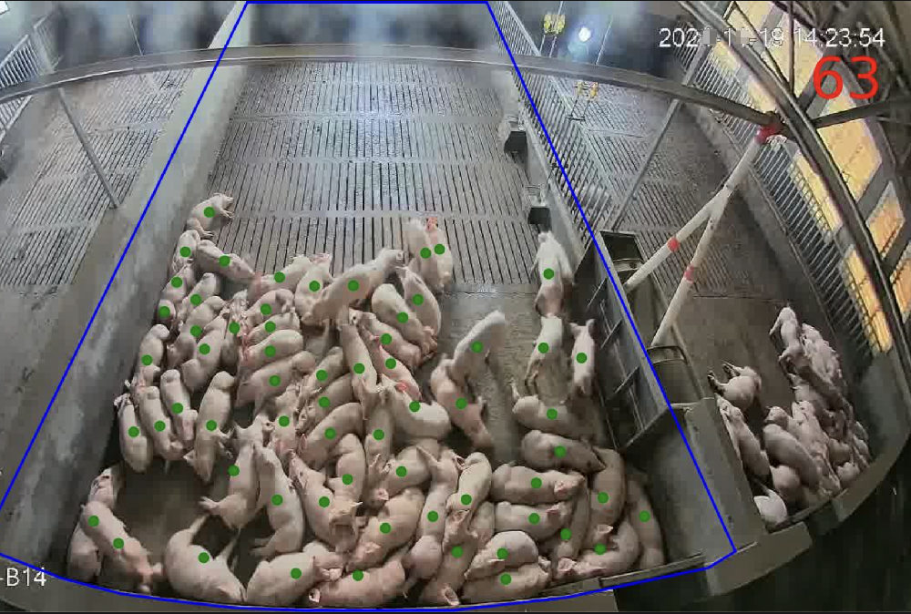 生豬養(yǎng)殖數(shù)字化政府監(jiān)管平臺(tái)