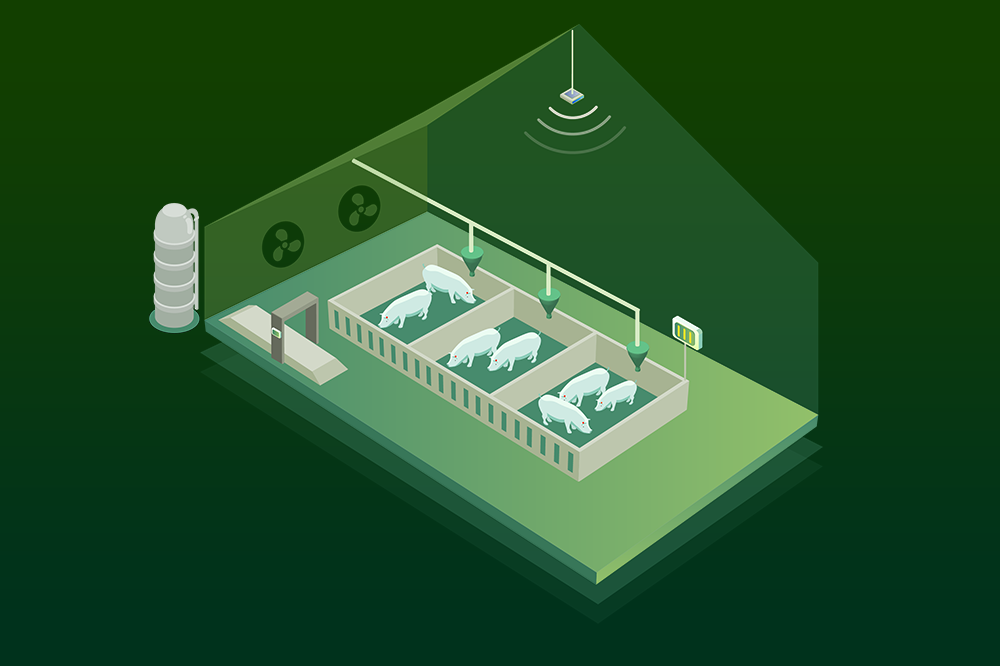 智慧生豬養(yǎng)殖管理""